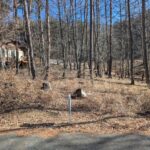 富士見高原 は地区 土地 180万円 南向き 明るい