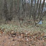 富士見高原 憩の森地区 土地約308坪 200万円 南西向き